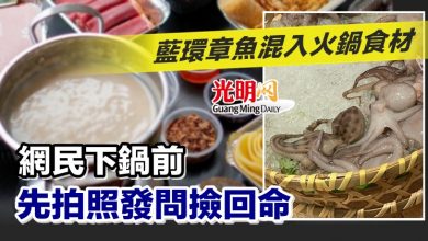 Photo of 藍環章魚混入火鍋食材 網民下鍋前先拍照發問撿回命