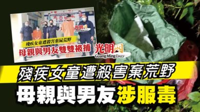 Photo of 殘疾女童遭殺害棄荒野 母親與男友涉服毒