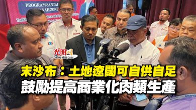 Photo of 末沙布：土地遼闊可自供自足  鼓勵提高商業化肉類生產