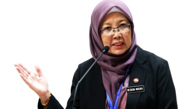 Photo of 頒佈無冠病國家 大馬將向美國取經