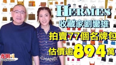 Photo of HERMES收藏家劉鑾雄  拍賣77個名牌包估價逾894萬