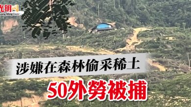 Photo of 涉嫌在森林偷采稀土  50外勞被捕