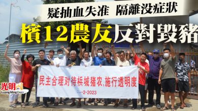 Photo of 疑抽血失准 隔離沒症狀 檳12農友反對毀豬
