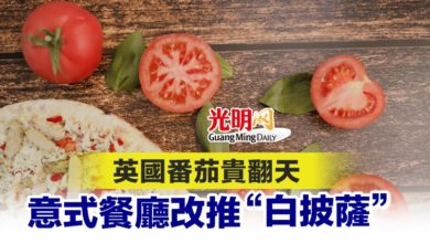 Photo of 英國番茄貴翻天 意式餐廳改推“白披薩”