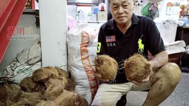 Photo of 疫情趨緩沒帶動買氣 大寶森節還願 椰子訂單減30%