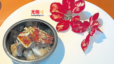 Photo of 【自遊自在】台湾美食体验