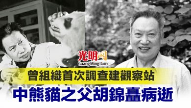Photo of 曾組織首次調查建觀察站 中熊貓之父胡錦矗病逝