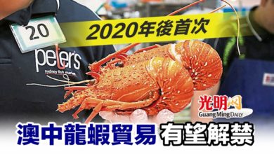 Photo of 2020年後首次 澳中龍蝦貿易有望解禁