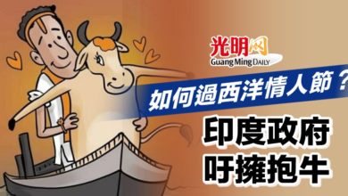 Photo of 如何過西洋情人節？印度政府吁擁抱牛