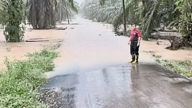 Photo of 馬口24小時長命雨 水淹榕吉華小等路