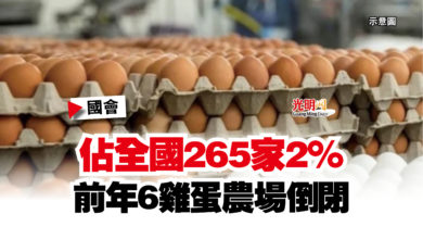 Photo of 【國會】佔全國265家2%  前年6雞蛋農場倒閉