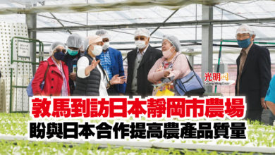 Photo of 敦馬到訪日本靜岡市農場  盼與日本合作提高農產品質量