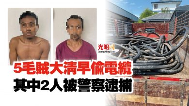 Photo of 5毛賊大清早偷電纜  其中2人被警察逮捕