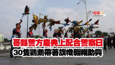 Photo of 哥縣警方慶典上配合警察日  30隻鸚鵡帶著旗幟翱翔助興