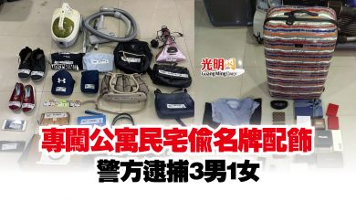 Photo of 專闖公寓民宅偷名牌配飾  警方逮捕3男1女