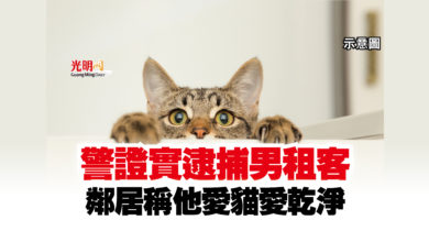 Photo of 警證實逮捕男租客 鄰居稱他愛貓愛乾淨