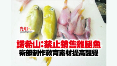 Photo of 諾希山：禁止銷售雞腿魚  衛部制作教育素材提高醒覺