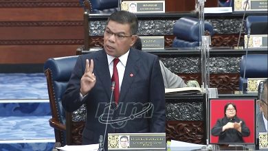 Photo of 【國會】海外產子享公民權 內長：須先解決雙重國籍