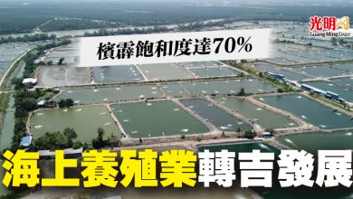 Photo of 檳霹飽和度達70% 海上養殖業轉吉發展