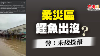 Photo of 柔災區鱷魚出沒? 警：未接投報
