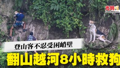 Photo of 登山客不忍受困峭壁  翻山越河8小時救狗