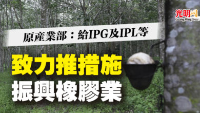 Photo of 原產業部：給IPG及IPL等  致力推措施振興橡膠業