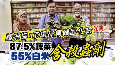 Photo of 檳消協：市場採集韓國化驗 87.5%蔬菜 55%白米含殺蟲劑