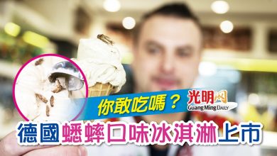 Photo of 德國蟋蟀口味冰淇淋上市