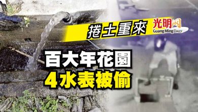 Photo of 捲土重來 百大年花園4水表被偷