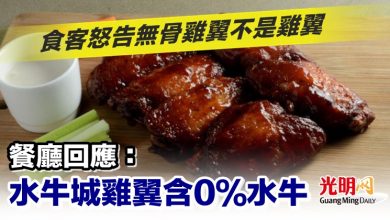 Photo of 食客怒告無骨雞翼不是雞翼 餐廳回應：水牛城雞翼含0％水牛