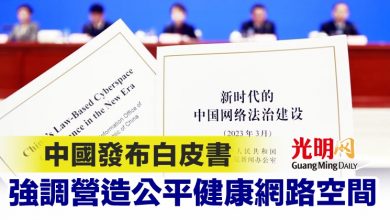 Photo of 中國發布白皮書 強調營造公平健康網路空間
