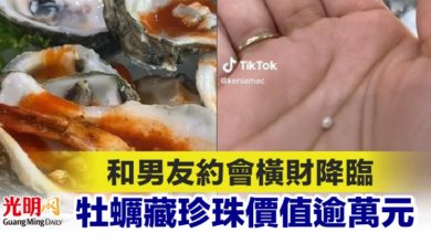 Photo of 和男友約會橫財降臨 牡蠣藏珍珠價值逾萬元
