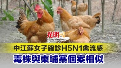 Photo of 中江蘇女子確診H5N1禽流感 毒株與柬埔寨個案相似