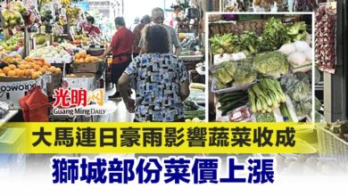Photo of 大馬連日豪雨影響蔬菜收成 獅城部分菜價上漲
