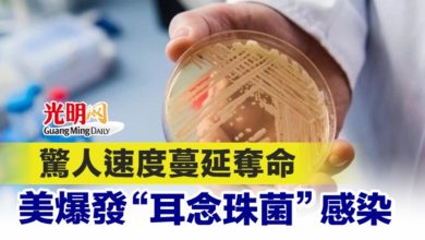 Photo of 驚人速度蔓延奪命 美爆發“耳念珠菌”感染