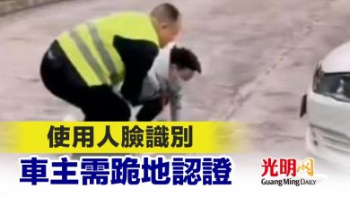 Photo of 使用人臉識別 車主需跪地認證