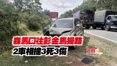 Photo of 森馬口往彭金馬揚路  2車相撞3死3傷
