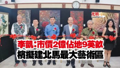 Photo of 李凱：市價2億佔地9英畝  檳擬建北馬最大藝術區