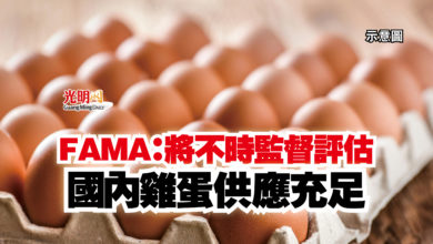 Photo of FAMA：將不時監督評估  國內雞蛋供應充足