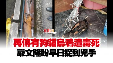 Photo of 再傳有狗貓烏鴉遭毒死  嚴文隆盼早日捉到兇手