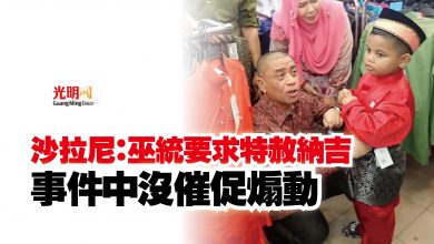 Photo of 沙拉尼：巫統要求特赦納吉  事件中沒催促煽動