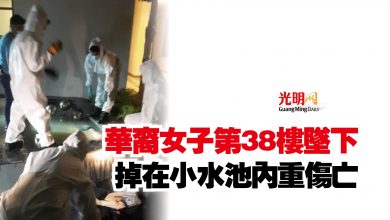 Photo of 華裔女子第38樓墜下  掉在小水池內重傷亡