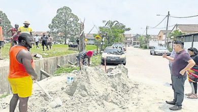 Photo of 草場踢球擊毀屋車 外籍居民問題多惹民怨