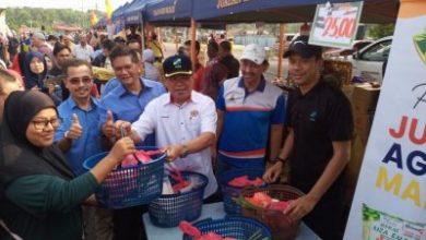 Photo of 末沙布：熱天氣憂稻米欠收 供應若吃緊將進口糧食