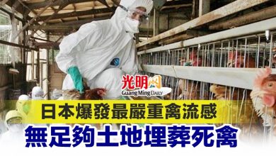 Photo of 日本爆發最嚴重禽流感 無足夠土地埋葬死禽