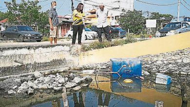 Photo of 病例較上月多逾3倍 雙禮佛漁村蚊症惡化