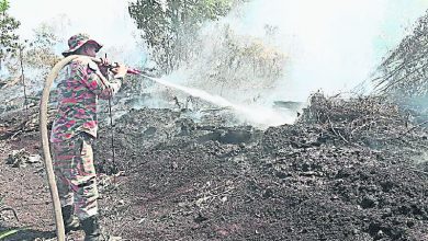 Photo of 已燒毀30公頃森林區 北根那示路林火終受控