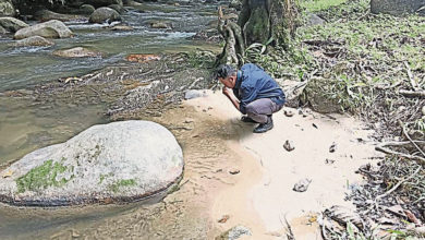 Photo of LUAS接獲公眾信息 查峇都河潛在污染