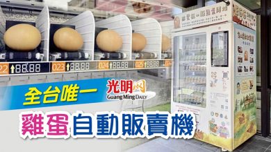 Photo of 全台唯一雞蛋自動販賣機