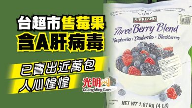 Photo of 台超市售莓果含A肝病毒 已賣出近萬包人心惶惶